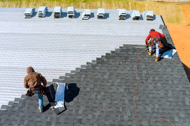 Best Gutter Installation and Repair  in Algonac, MI