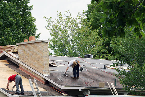 Best Sheet Metal Roofing  in Algonac, MI