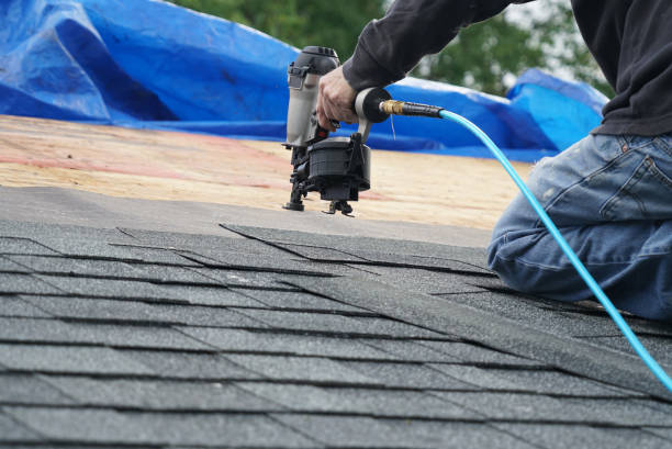 Best Roof Installation  in Algonac, MI