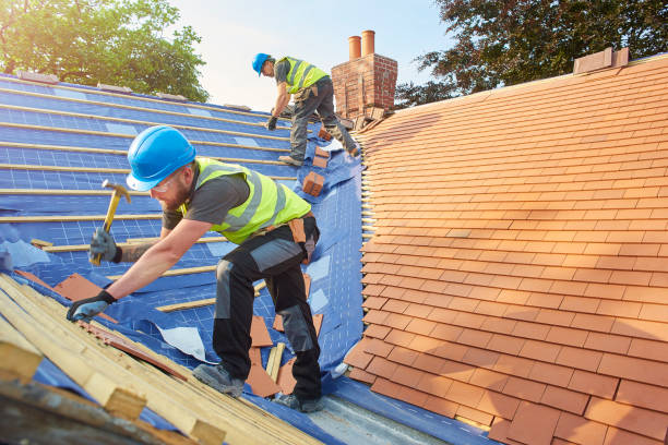 Best Gutter Replacement  in Algonac, MI
